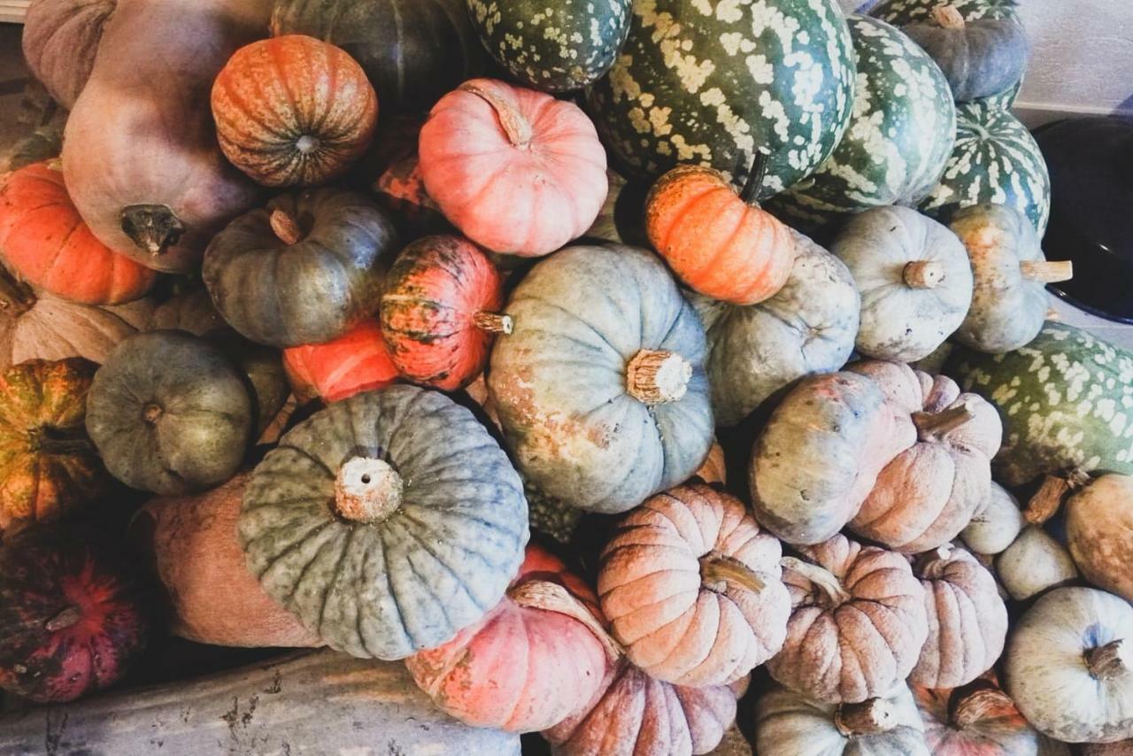 פוסאנו Agriturismo Fiori Di Zucca מראה חיצוני תמונה